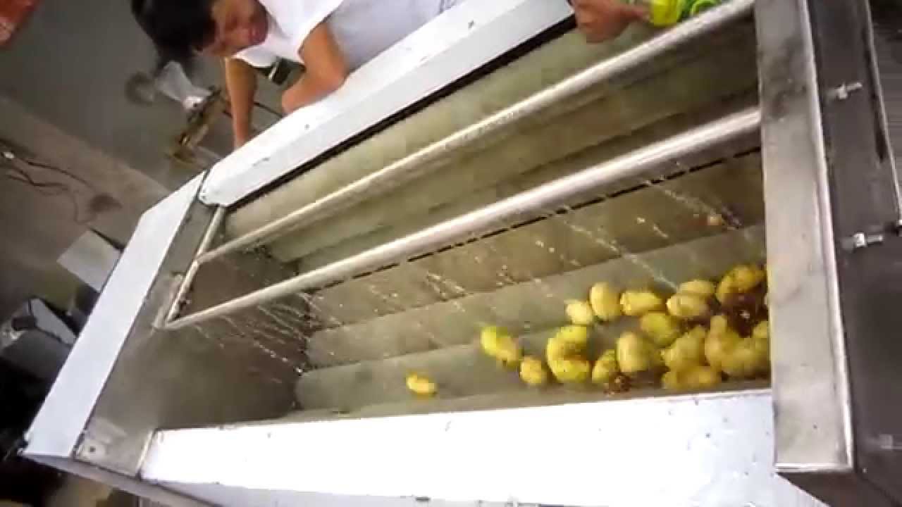 Máy rửa rau củ quả