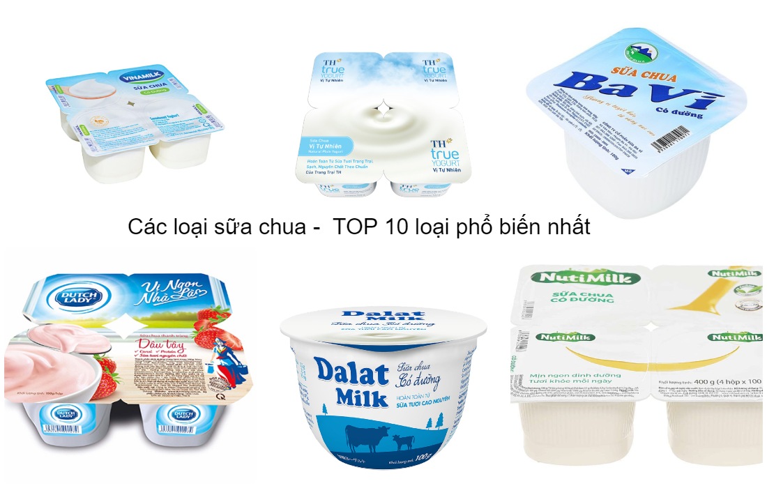 Các loại sữa chua - TOP 10 loại phổ biến nhất